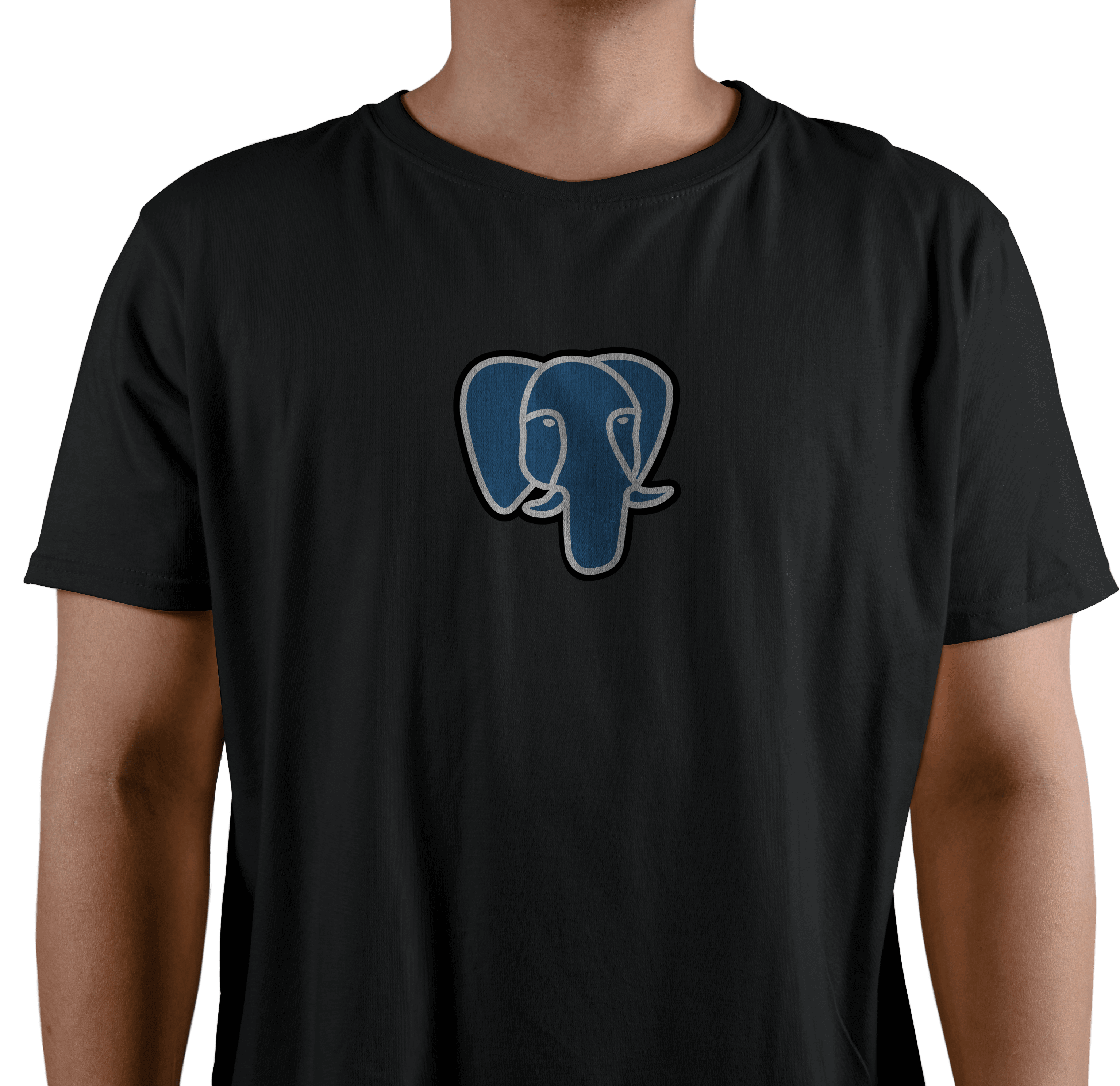 Why Hire PostgreSQL Developers for Your Firm from FasTrax Infotech?